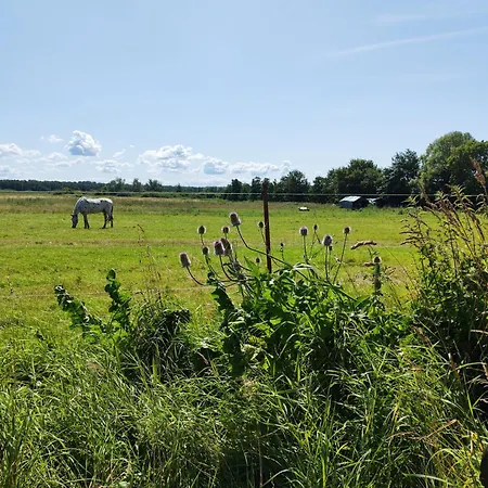 Dhh Ostseewelle 別荘 Börgerende-Rethwisch